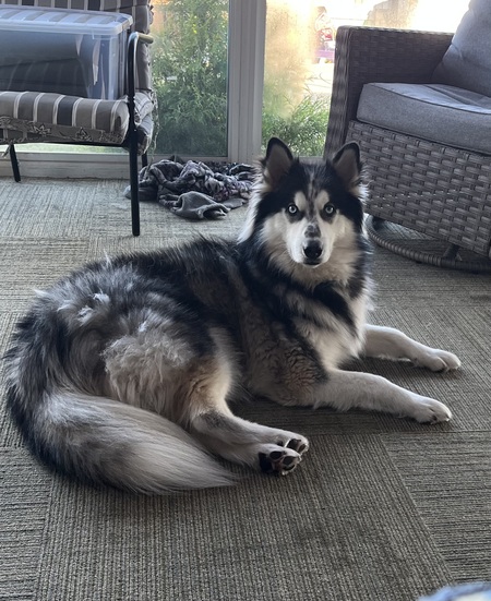 Kai