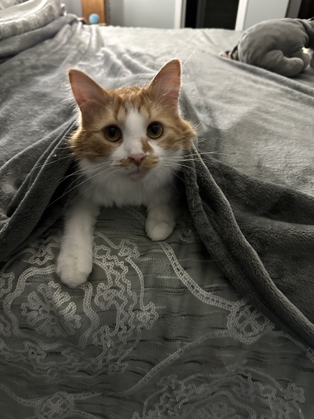 Charlie 