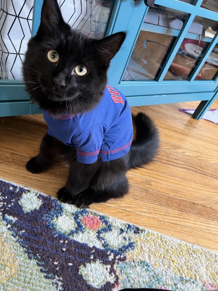 Elliott 