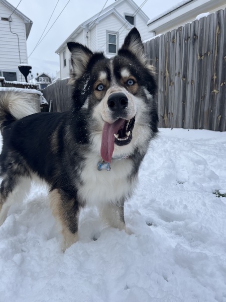 Axel