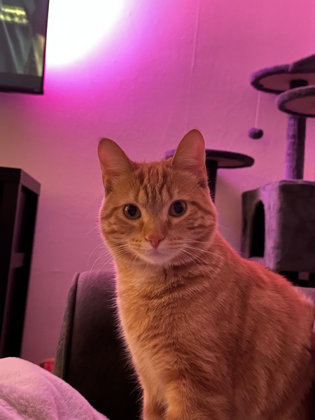 Bernie