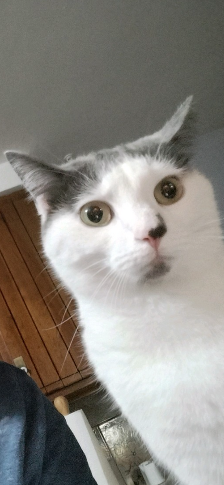 Daisy 