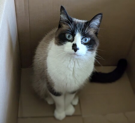 Casper