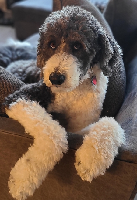Susan
