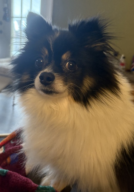 Oliver