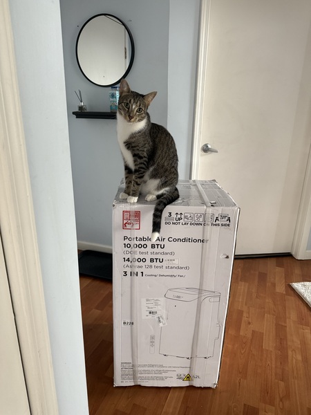 Apollo