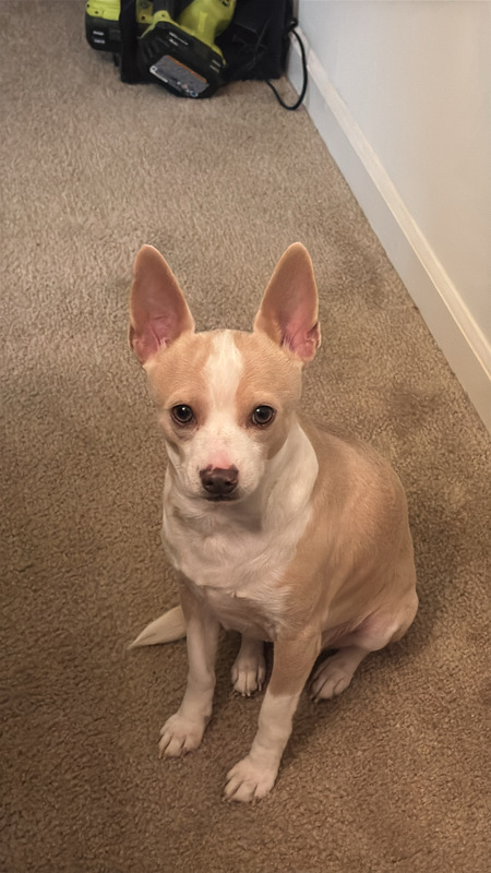 Vinny