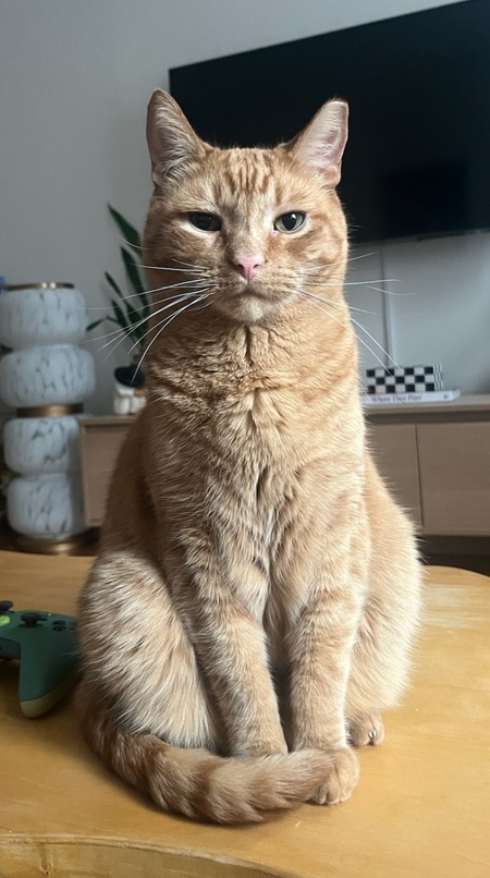 Tito