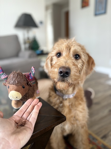 Lila
