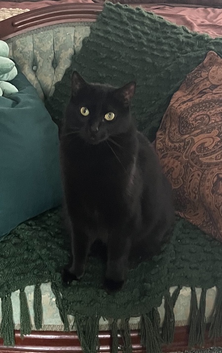 Franklin