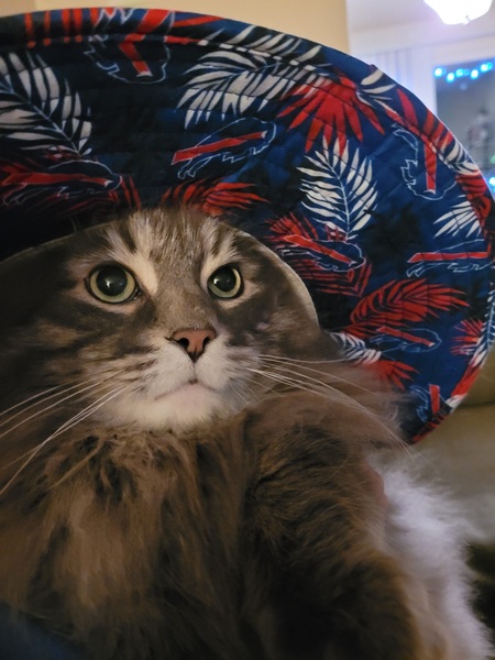 Marvin