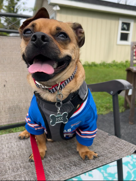 Jax