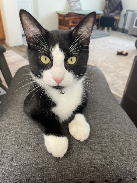 Ernie