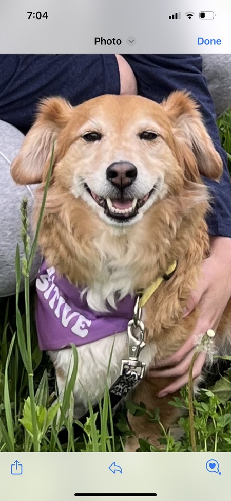Hazel