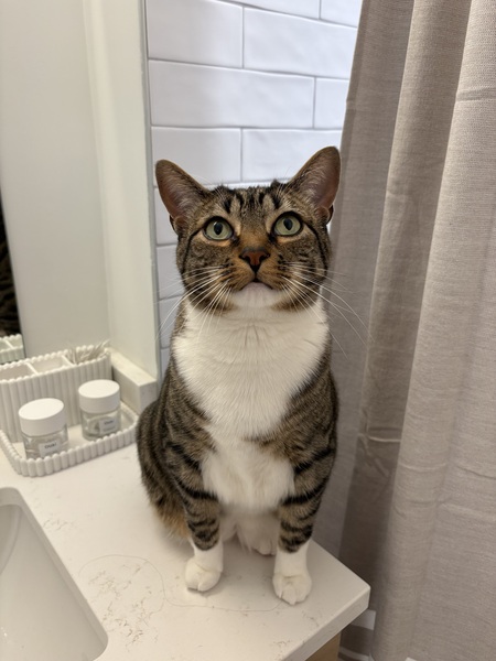 Pablo