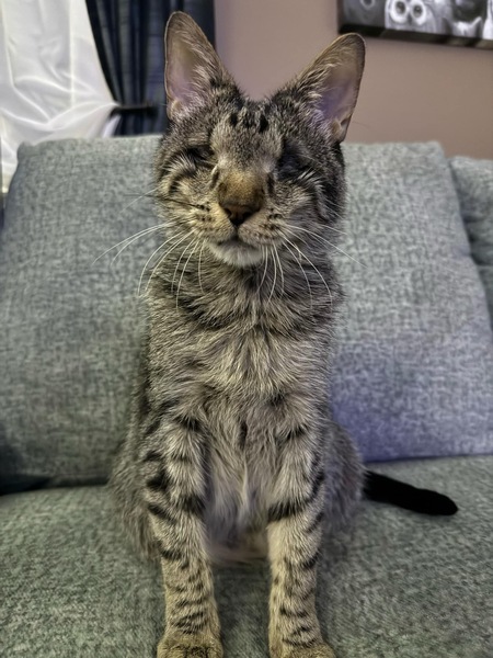 Felix
