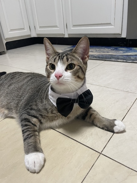 Dr. Marvin, PhD