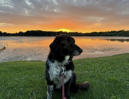 Duke