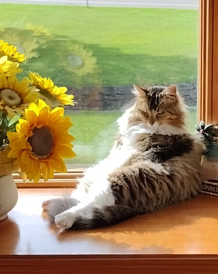 Mia