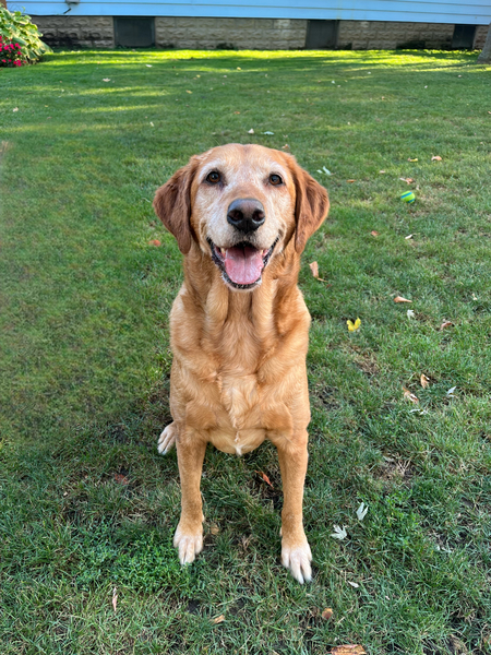 Maggie 