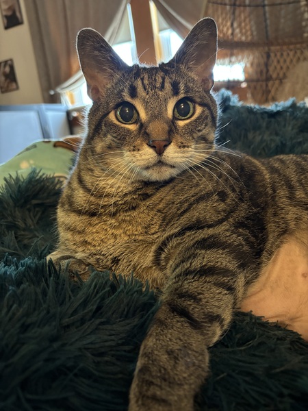 JD