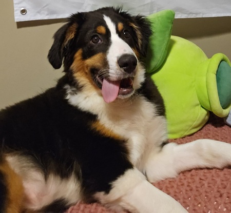 Murphy