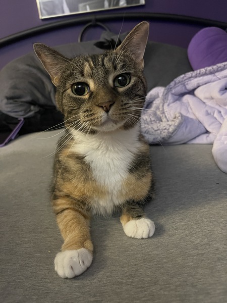 Winnie