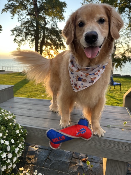 Penny