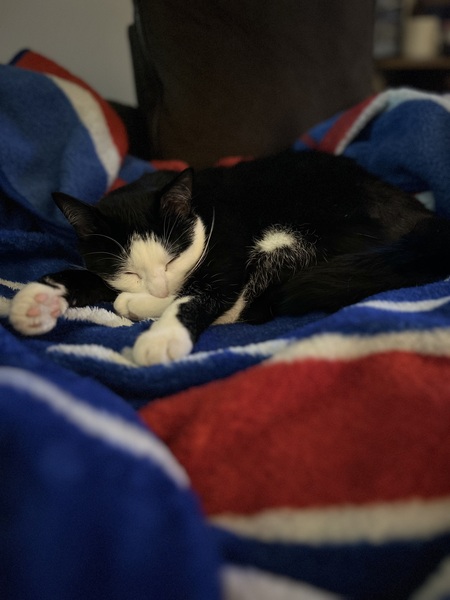 Kenneth “Oreo” Sox