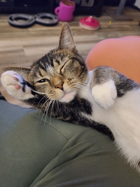 Pepper