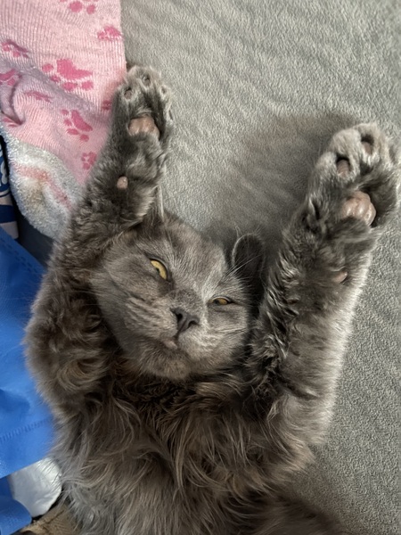 Cubby Makowski