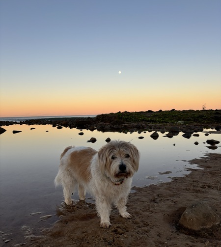 Mitzi 
