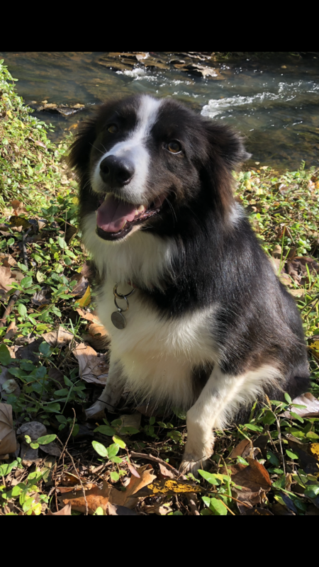Charlie