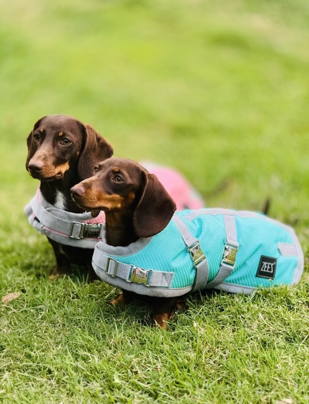 COCO and CHANEL