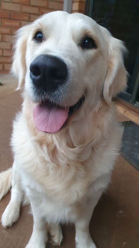 Nixie