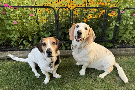 Frank and Maybell