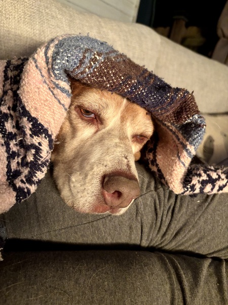 Norbert Bucky
