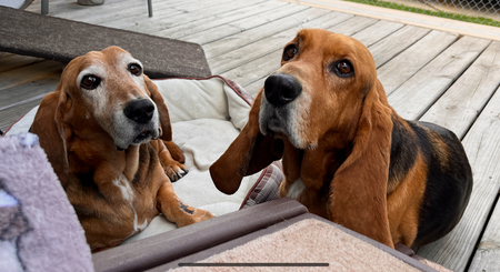 Max & Marty