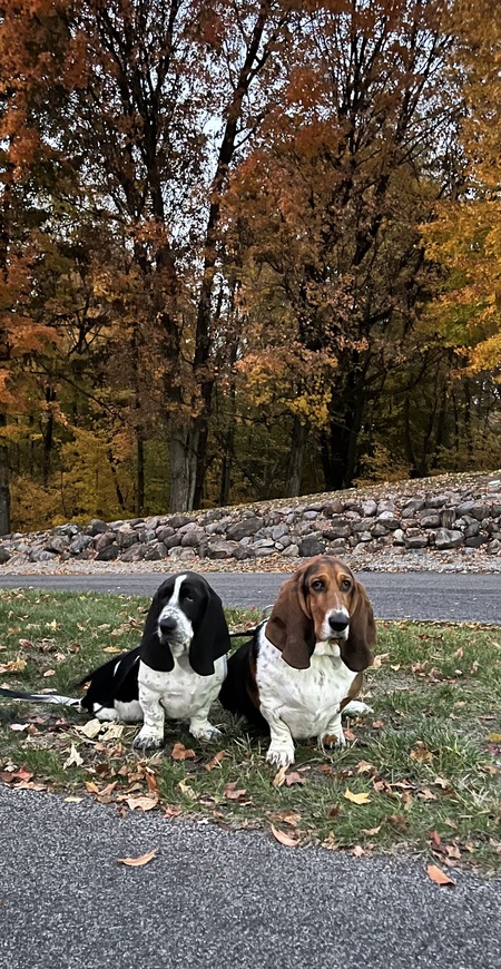 Hazel and Herbert
