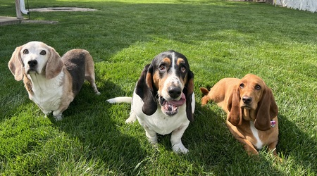 Elvis Otto and Daisy