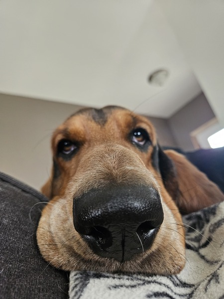 Winston