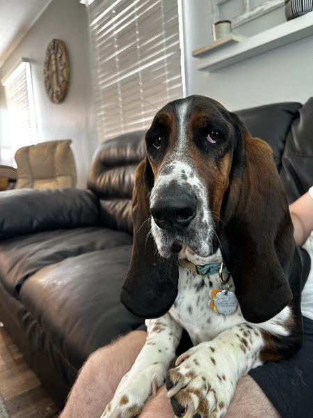 Gus 