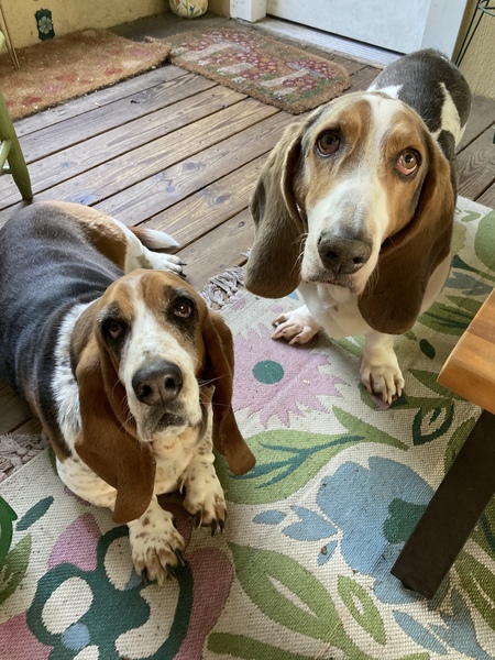 Byron and Alice