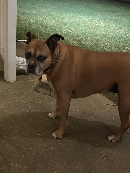 Rosie 