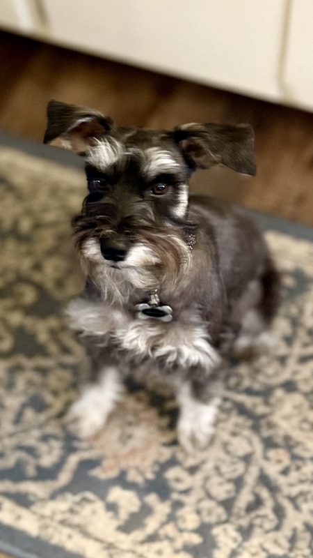 Tucker