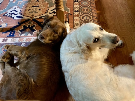 Larry and Abby