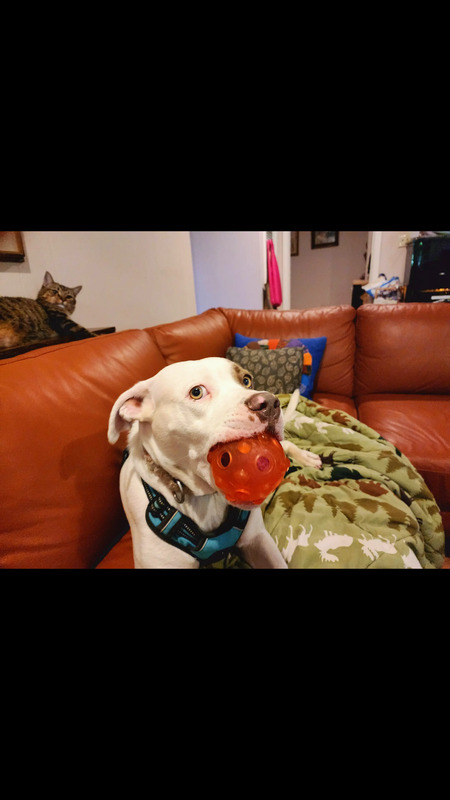 Pearl and Burrito