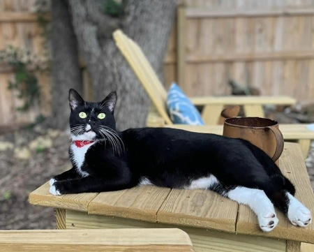 Mr Jeeves