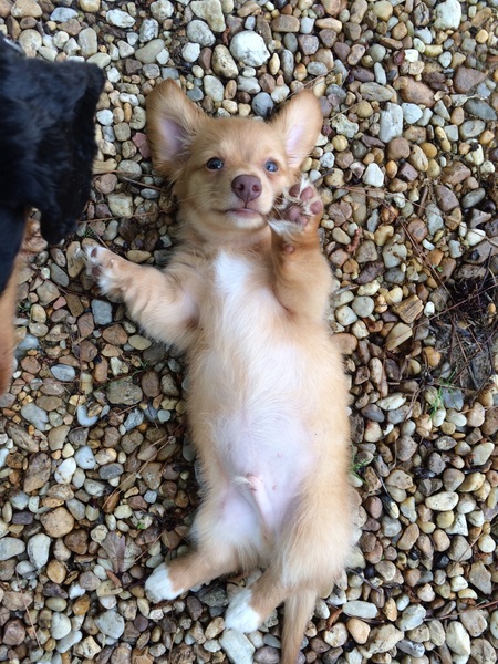 Tucker