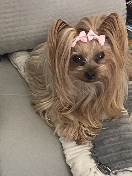 Sophie